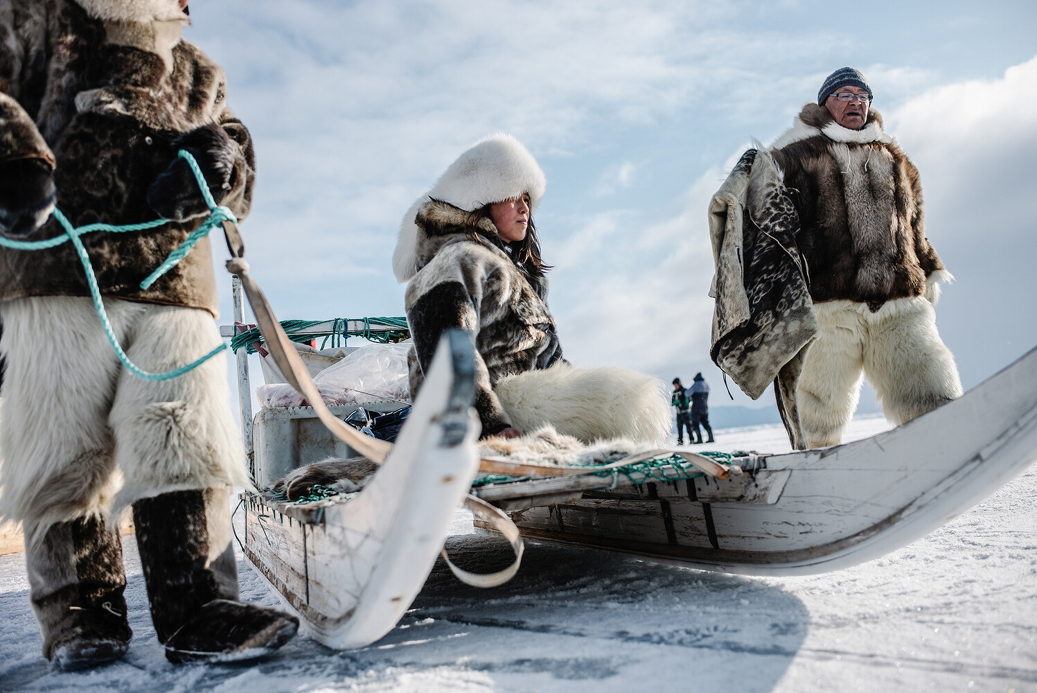 New York Public Library — Awe of the Arctic: A Visual History