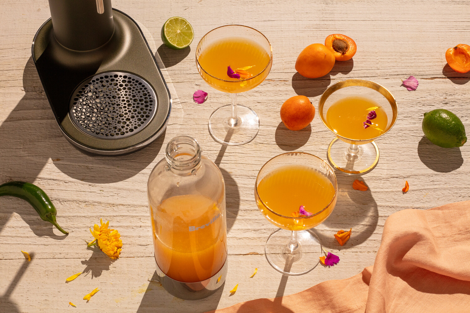 Breville Appetizers & Drinks