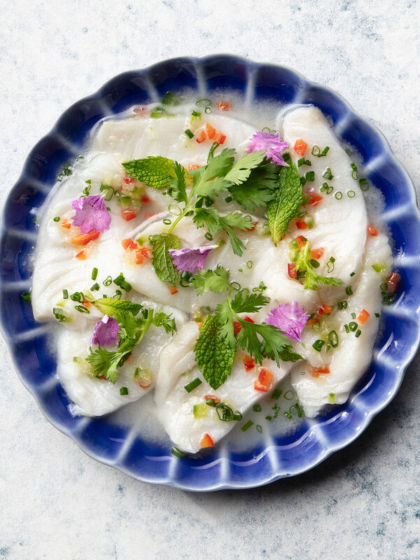 Breville Appetizers & Drinks