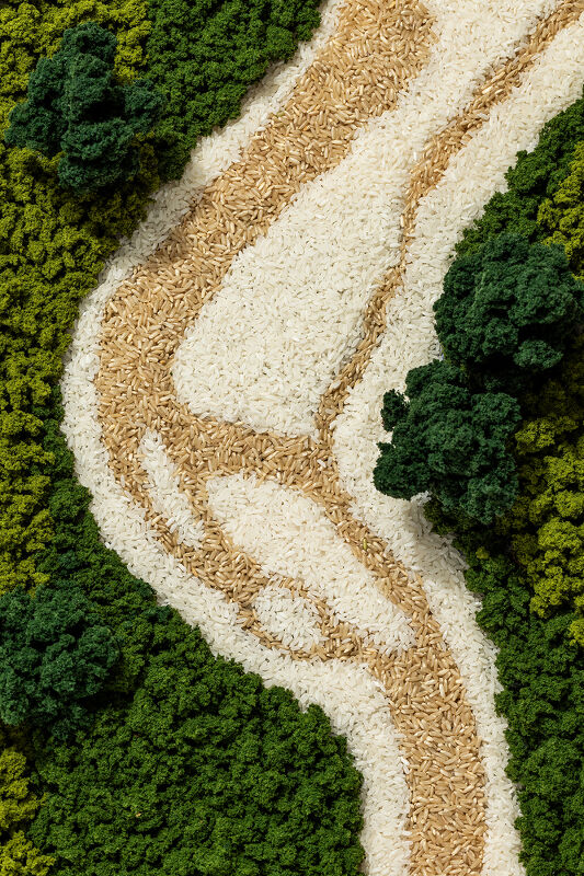 Domenica Agostino Leibowitz