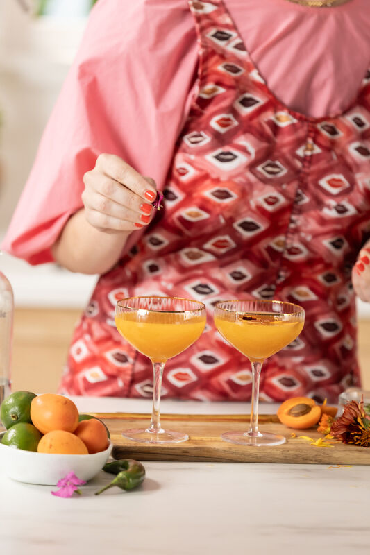 Breville Appetizers & Drinks