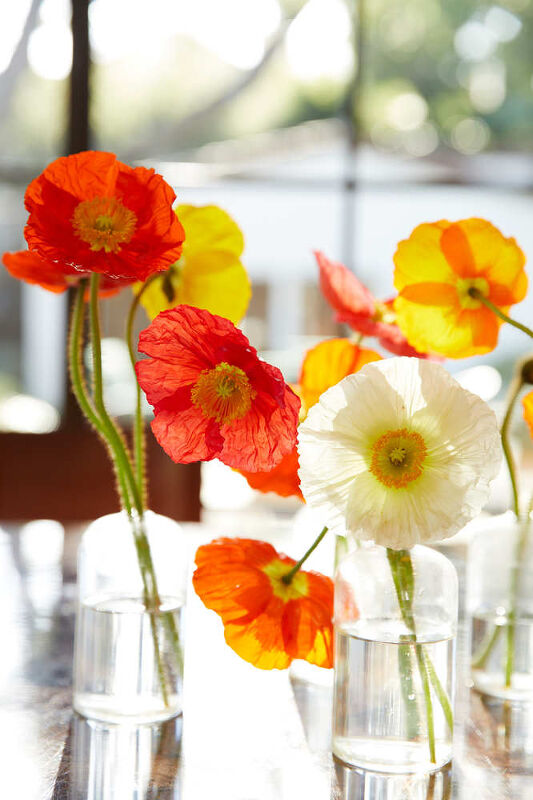 Caroll Ann Blinken, Everything Home