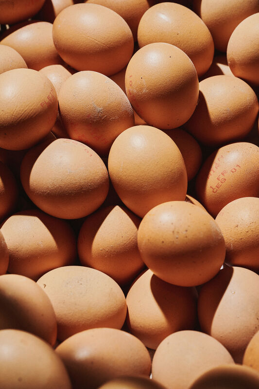 The New York Times Magazine,“Ollie Hates Eggs”