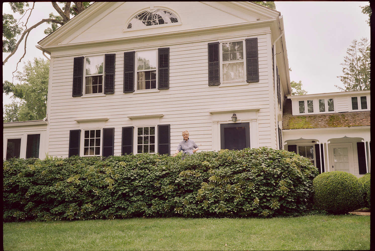 Bunny Williams, Neptune Papers