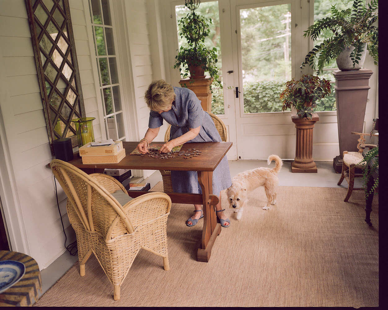 Bunny Williams, Neptune Papers