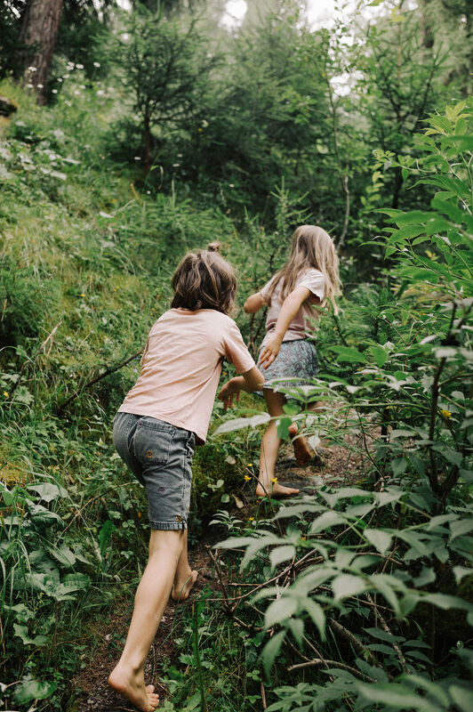 Swiss Alps, Above the Sky
