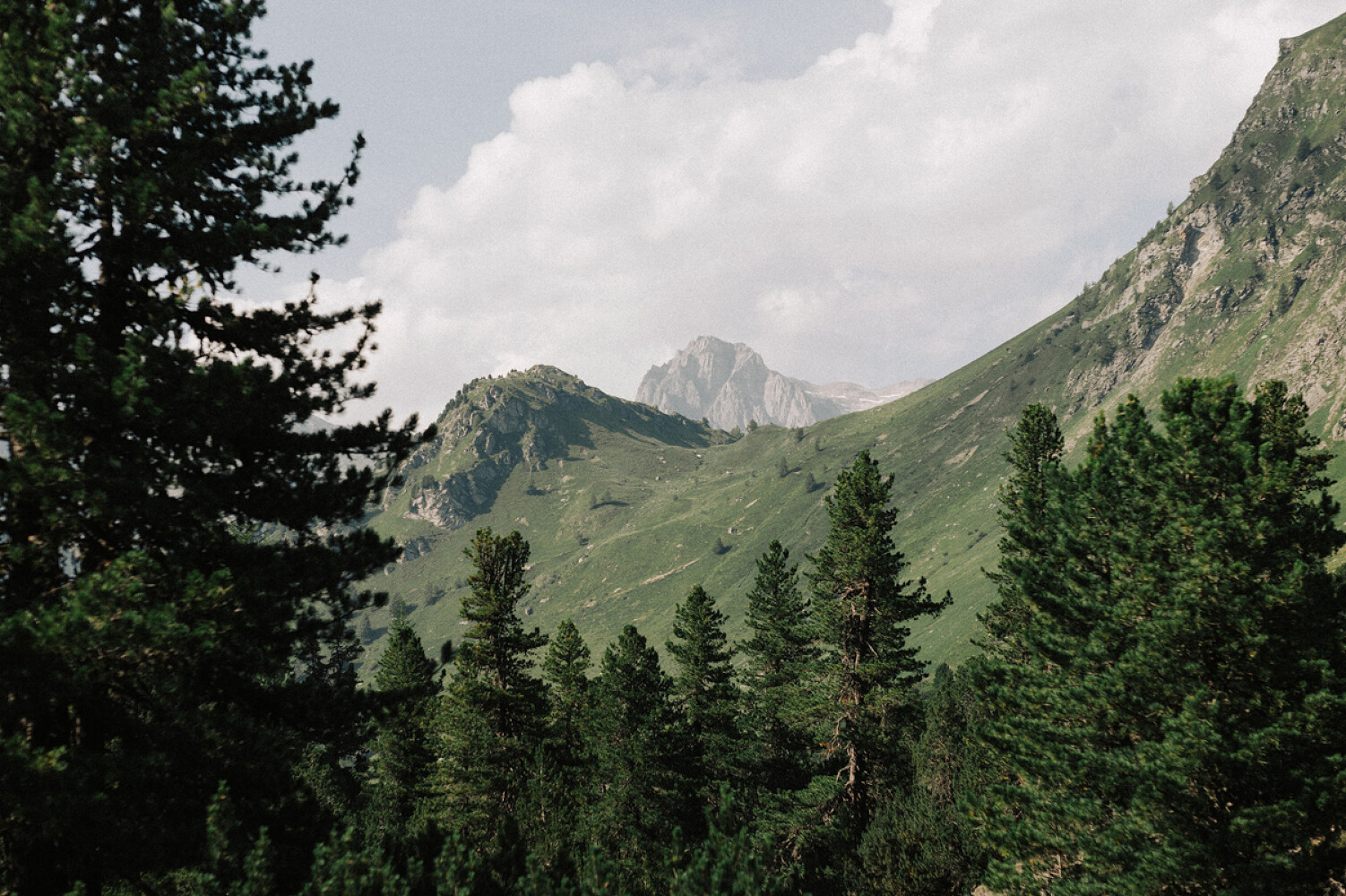 Swiss Alps, Above the Sky
