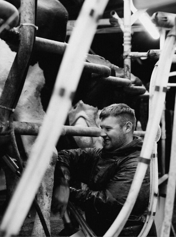 Audi, Cream of the Crop