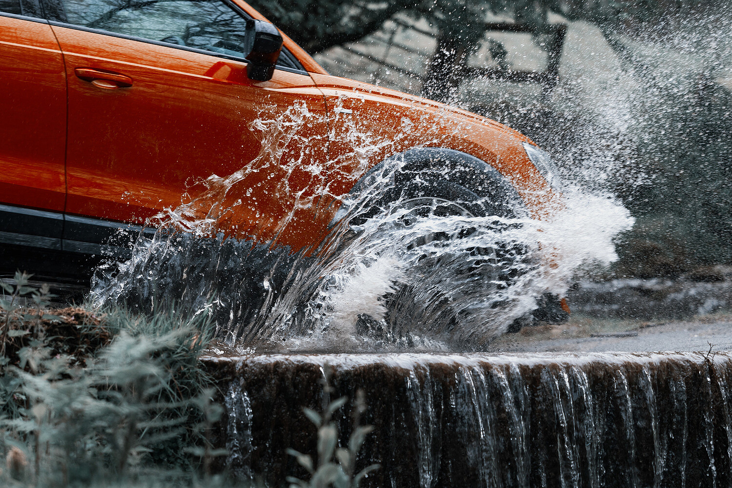 Audi, Cream of the Crop