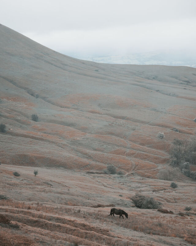 Audi, Cream of the Crop