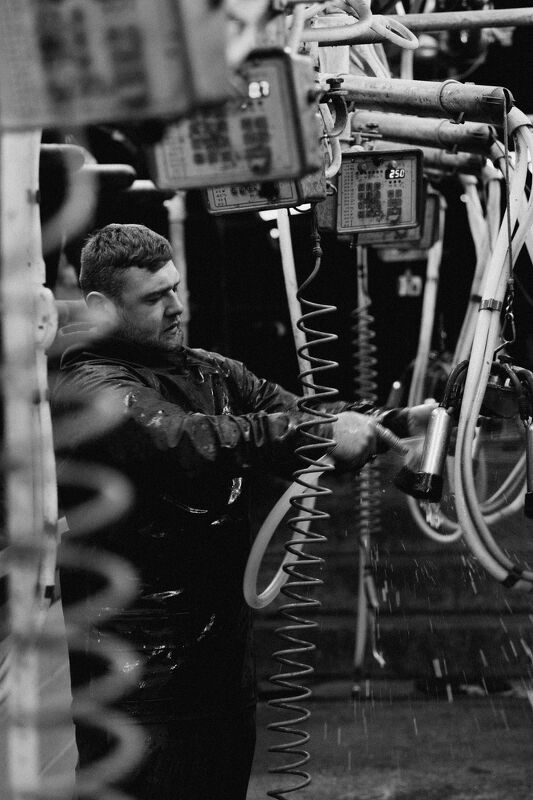 Audi, Cream of the Crop