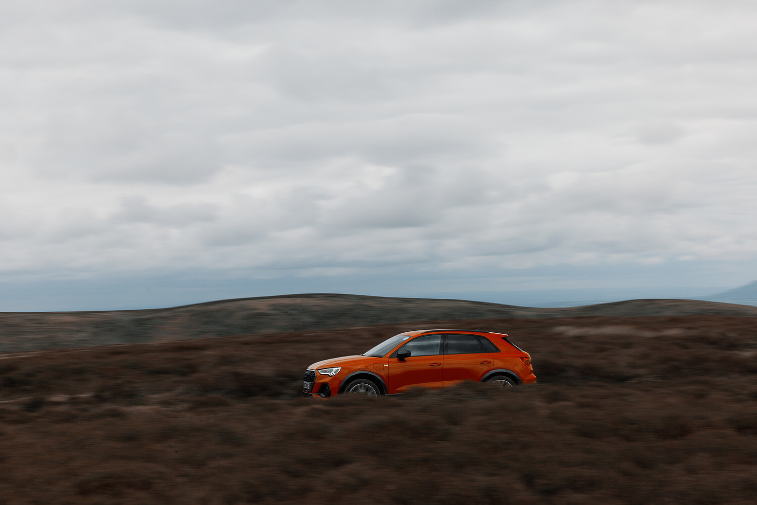 Audi, Cream of the Crop