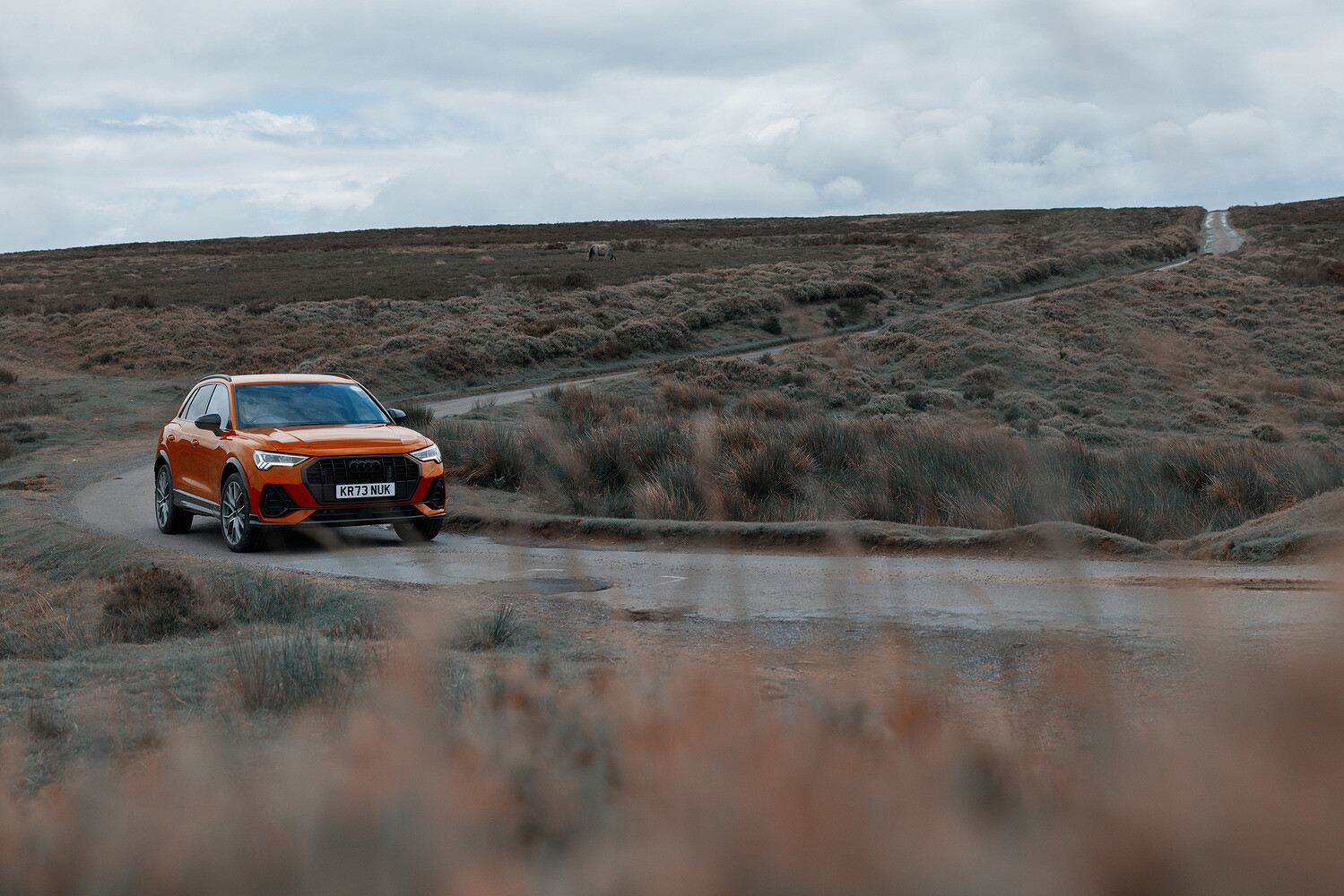 Audi, Cream of the Crop