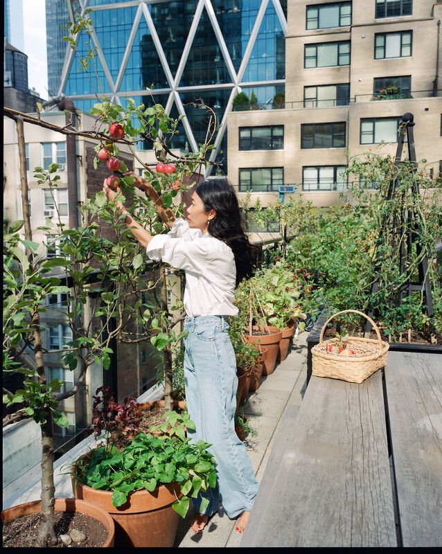 Kate Berry, Harper’s Bazaar Japan