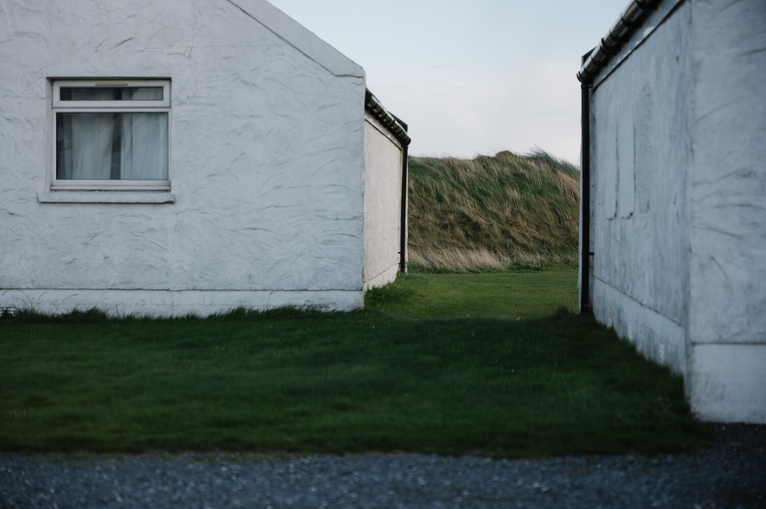 Lagavulin, The New York Times