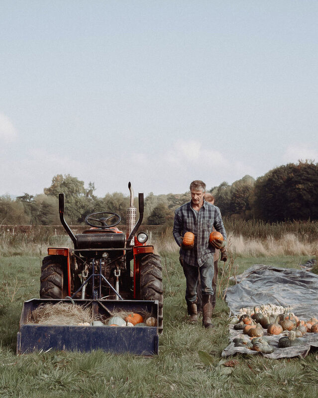 Pumpkin Harvest