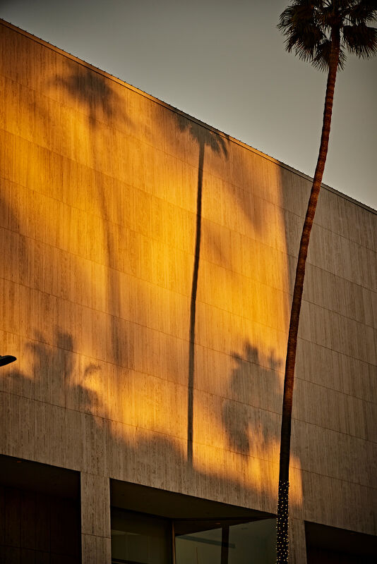 “Love Beverly Hills” Campaign