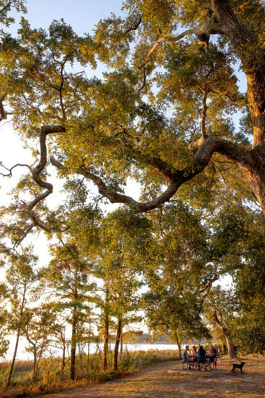 Travel & Leisure, Mississippi