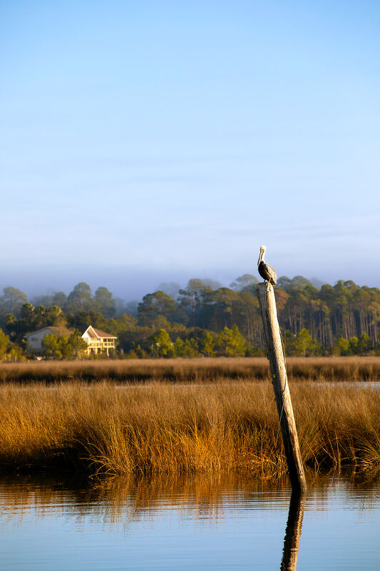 Travel & Leisure, Mississippi