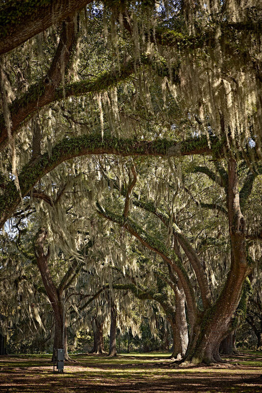 Condé Nast Traveler