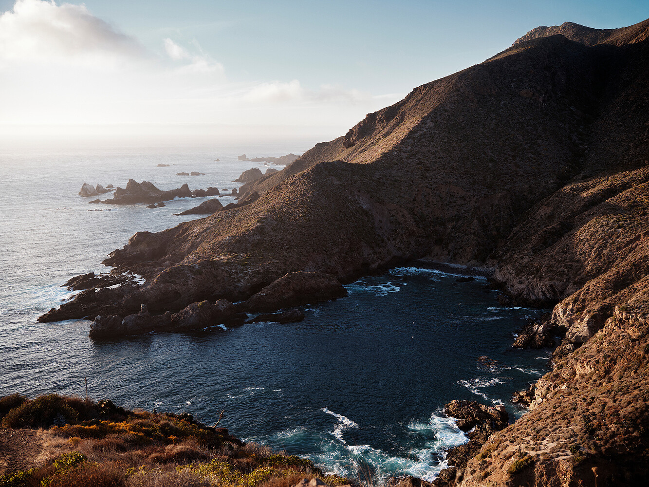 Prada x National Geographic