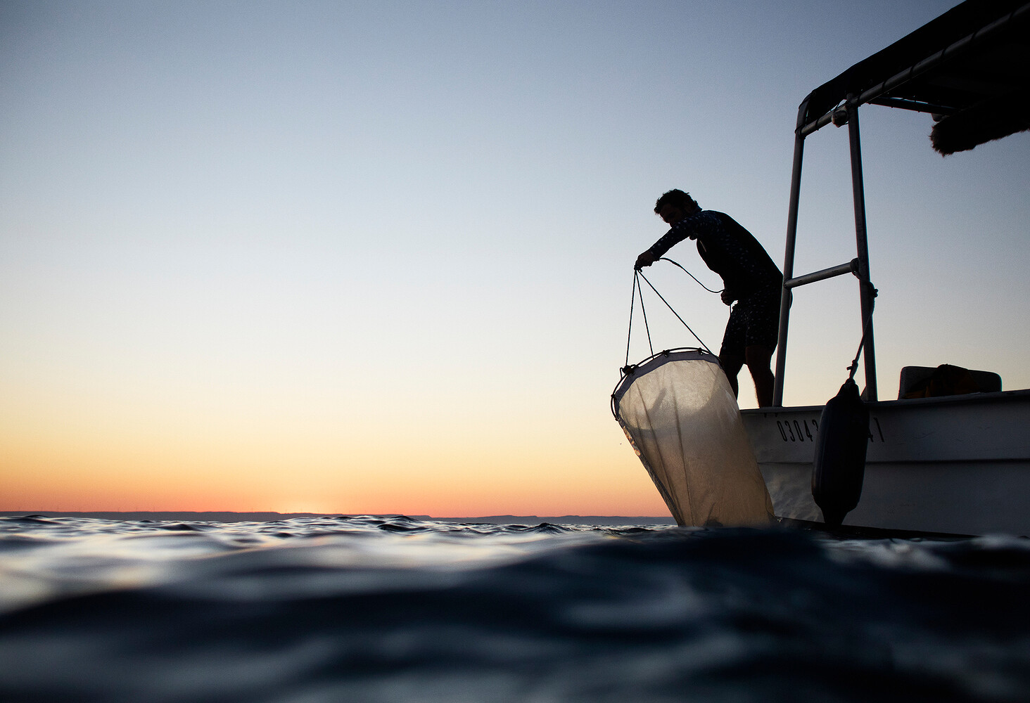 Prada x National Geographic