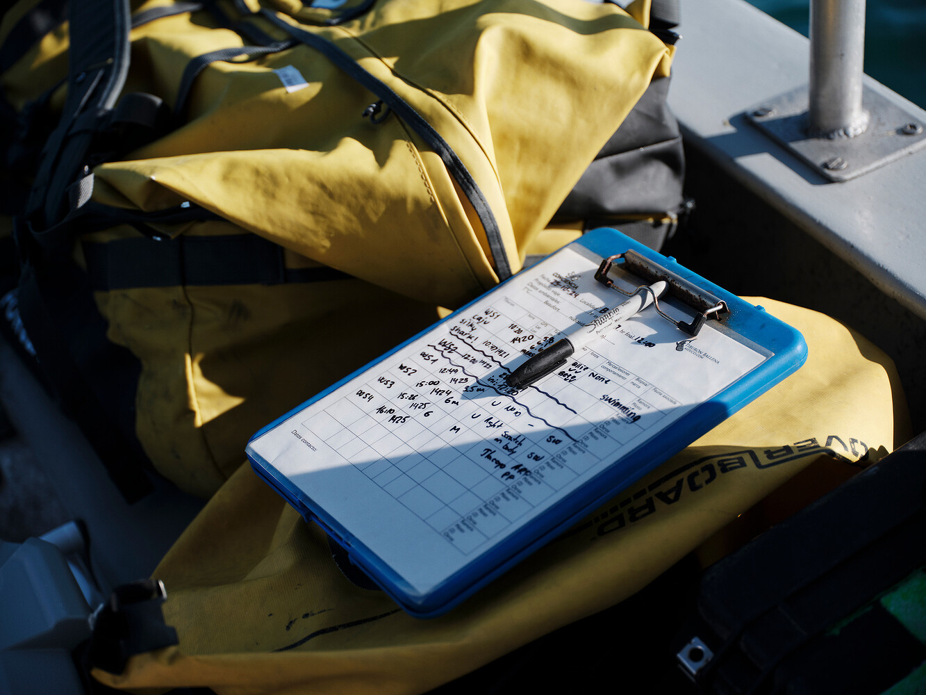 Prada x National Geographic