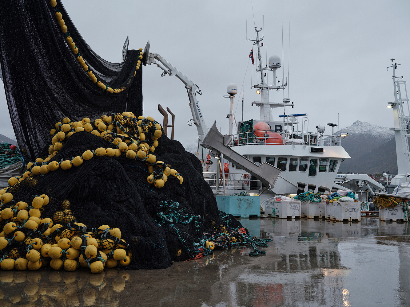 Prada x National Geographic