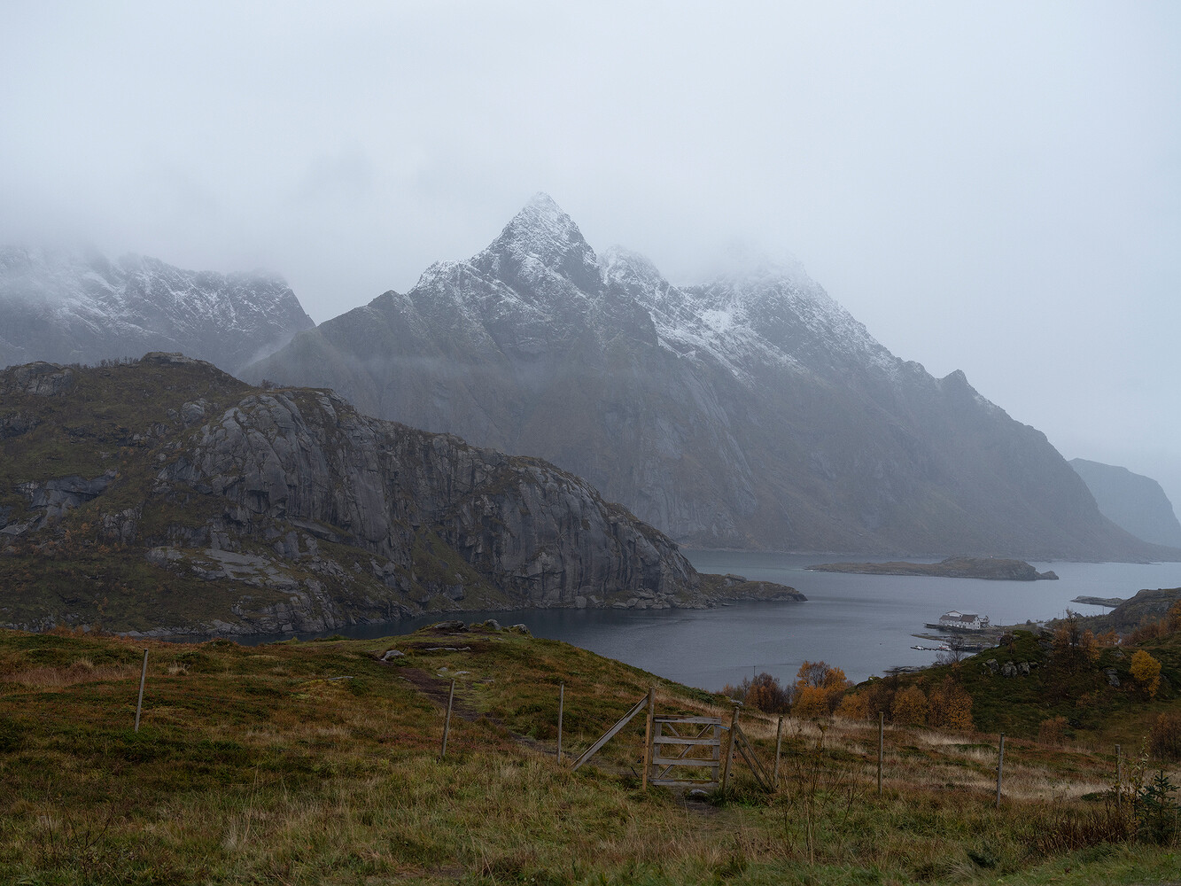 Prada x National Geographic