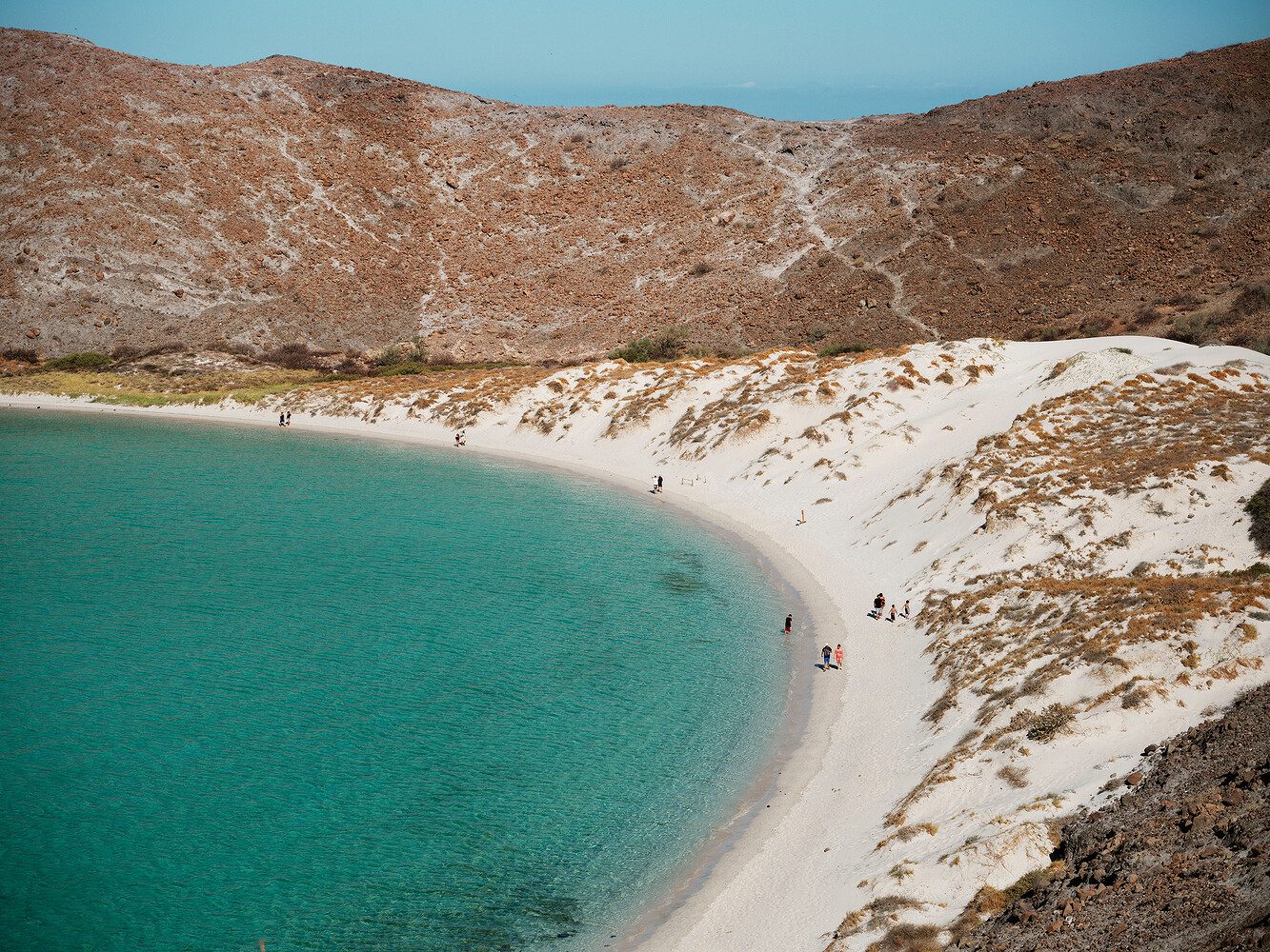 Prada x National Geographic