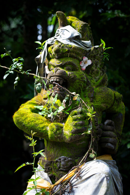 Women’s Earth Alliance