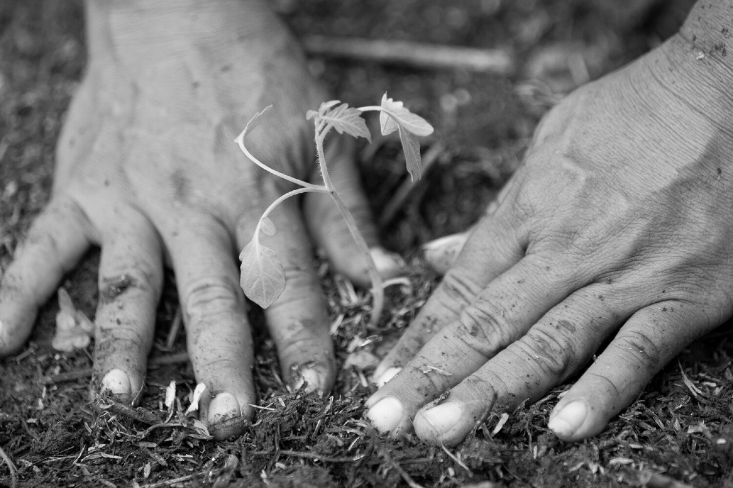 Women’s Earth Alliance
