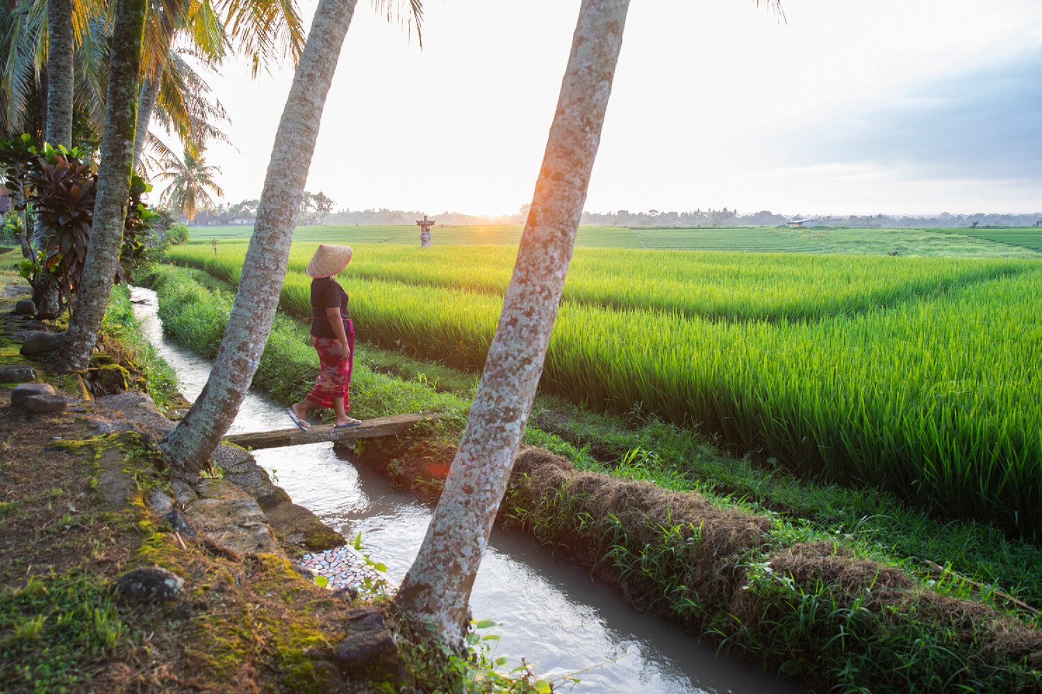 Women’s Earth Alliance
