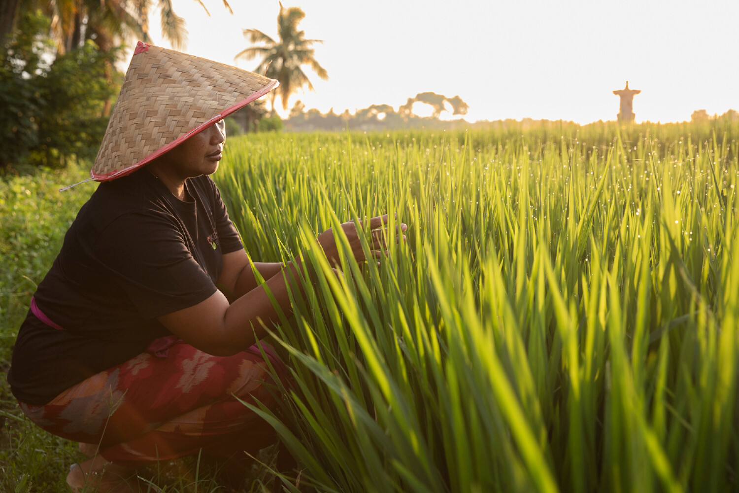 Women’s Earth Alliance