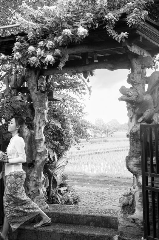 Women’s Earth Alliance