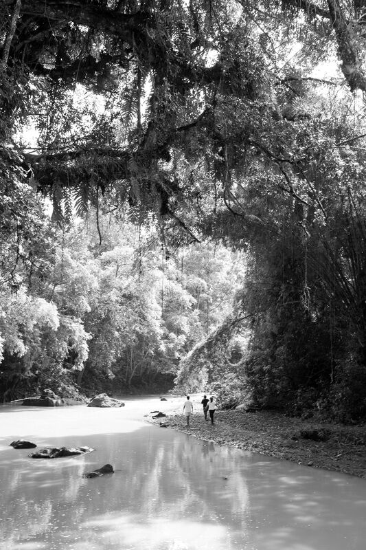 Women’s Earth Alliance