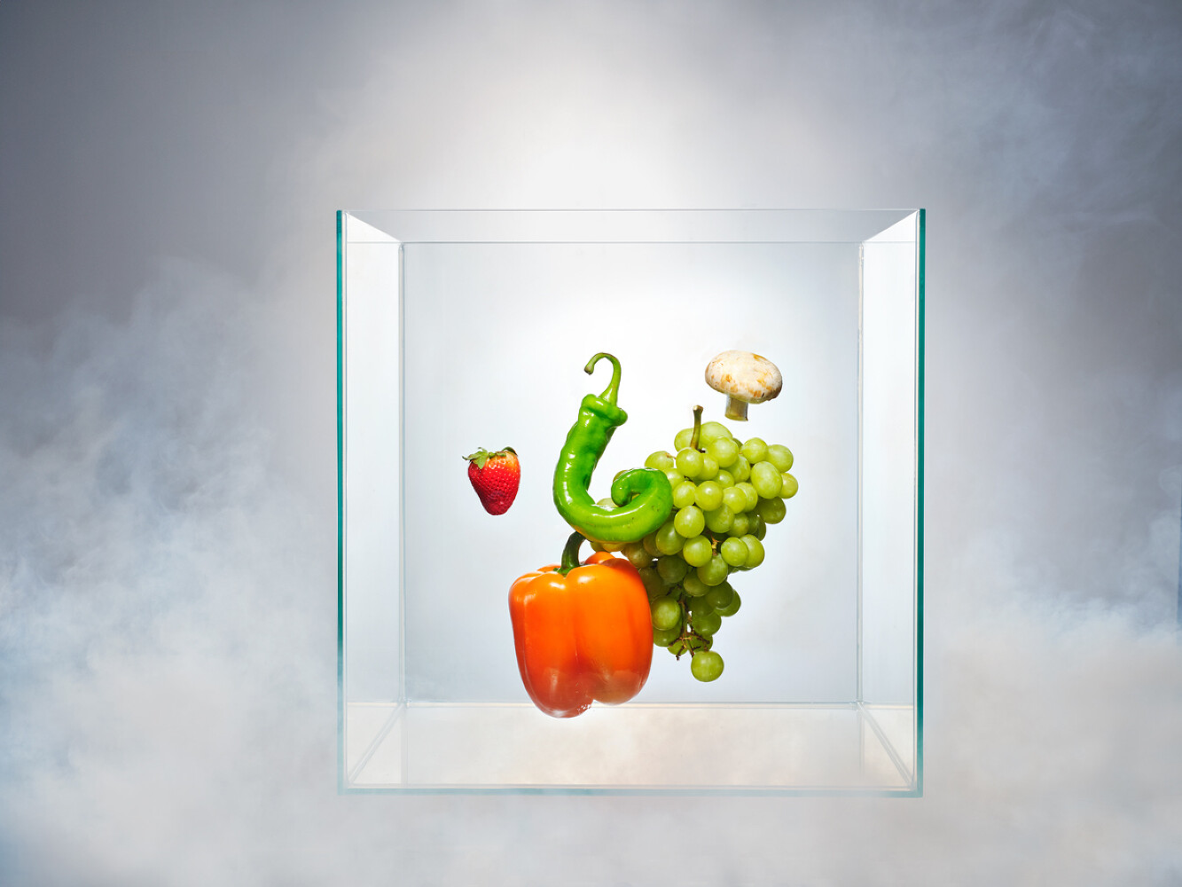 Sophia  Eleni  Pappas