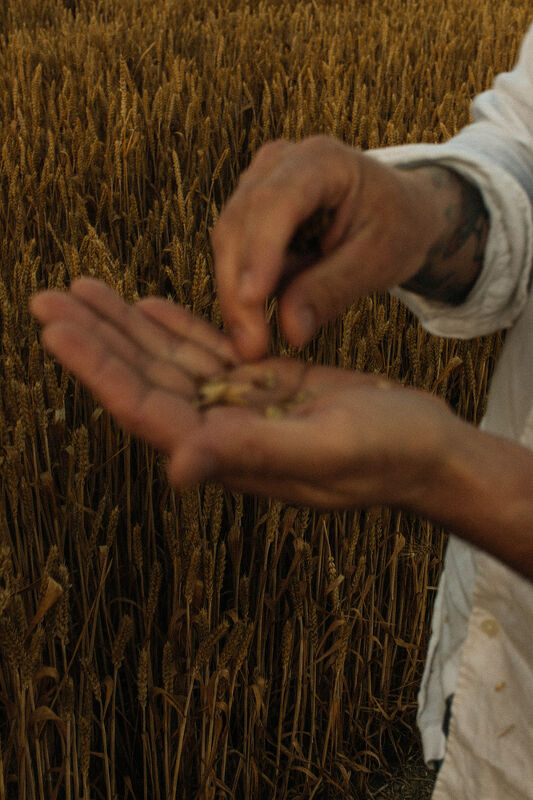 Photographs by Maureen M. Evans