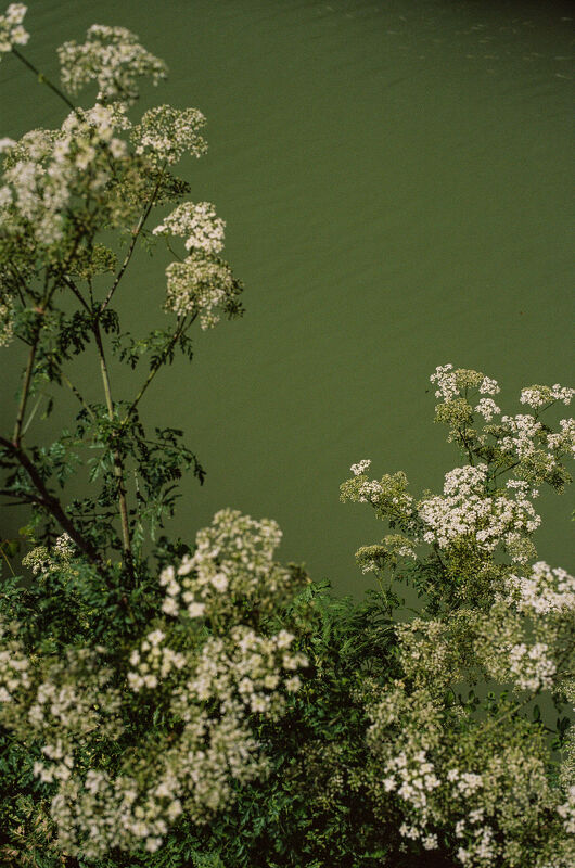 Photographs by Maureen M. Evans