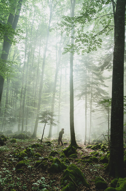 Photographs by Ciril Jazbec