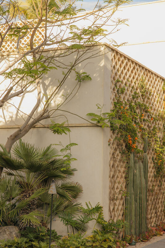 Studio Robert Mckinley x Palm Orchard