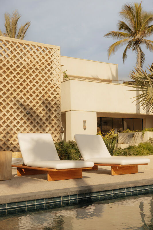 Studio Robert Mckinley x Palm Orchard