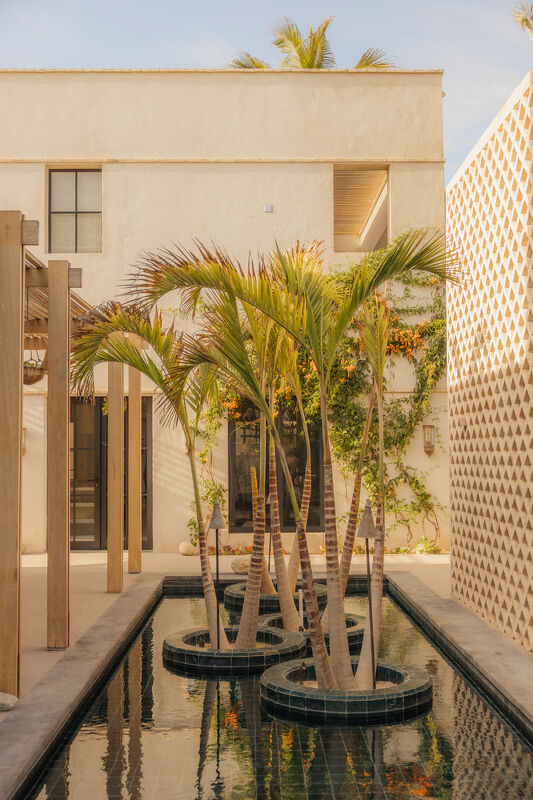 Studio Robert Mckinley x Palm Orchard