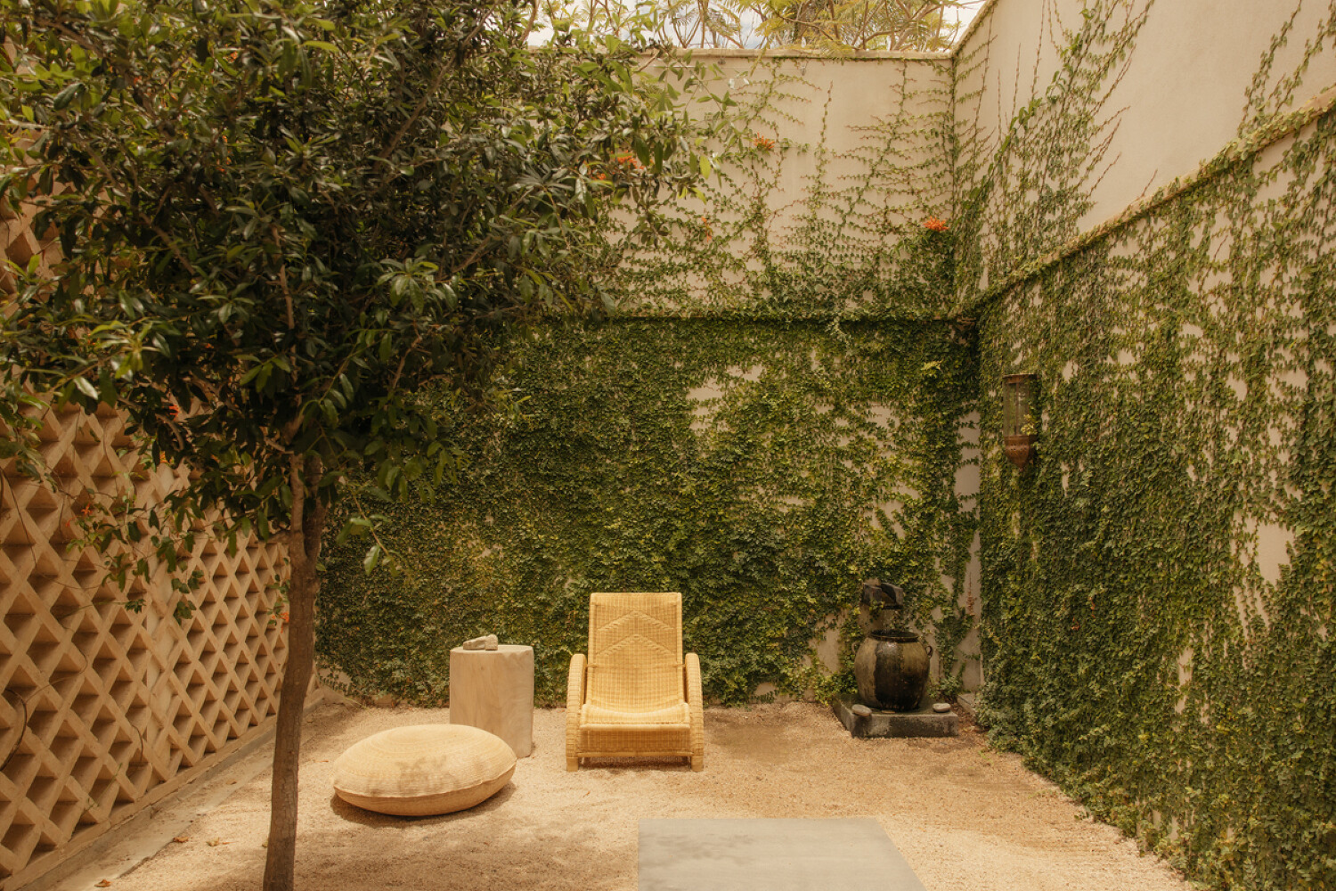 Studio Robert Mckinley x Palm Orchard