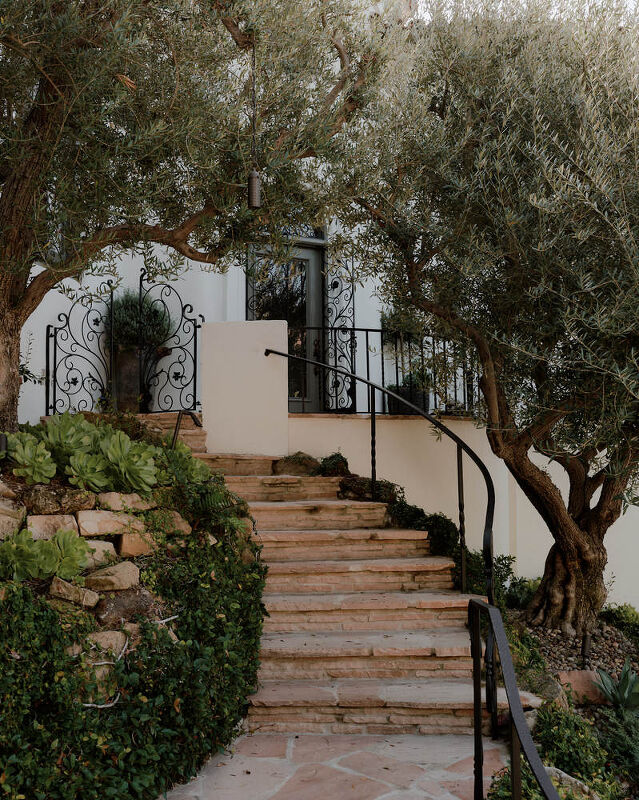 Alexander Design, Wallpaper Magazine