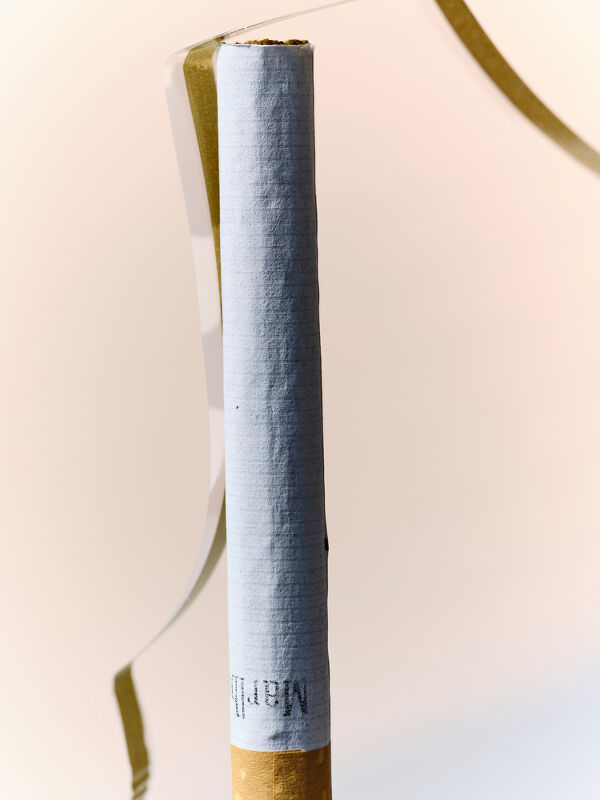 Studies & Transformations