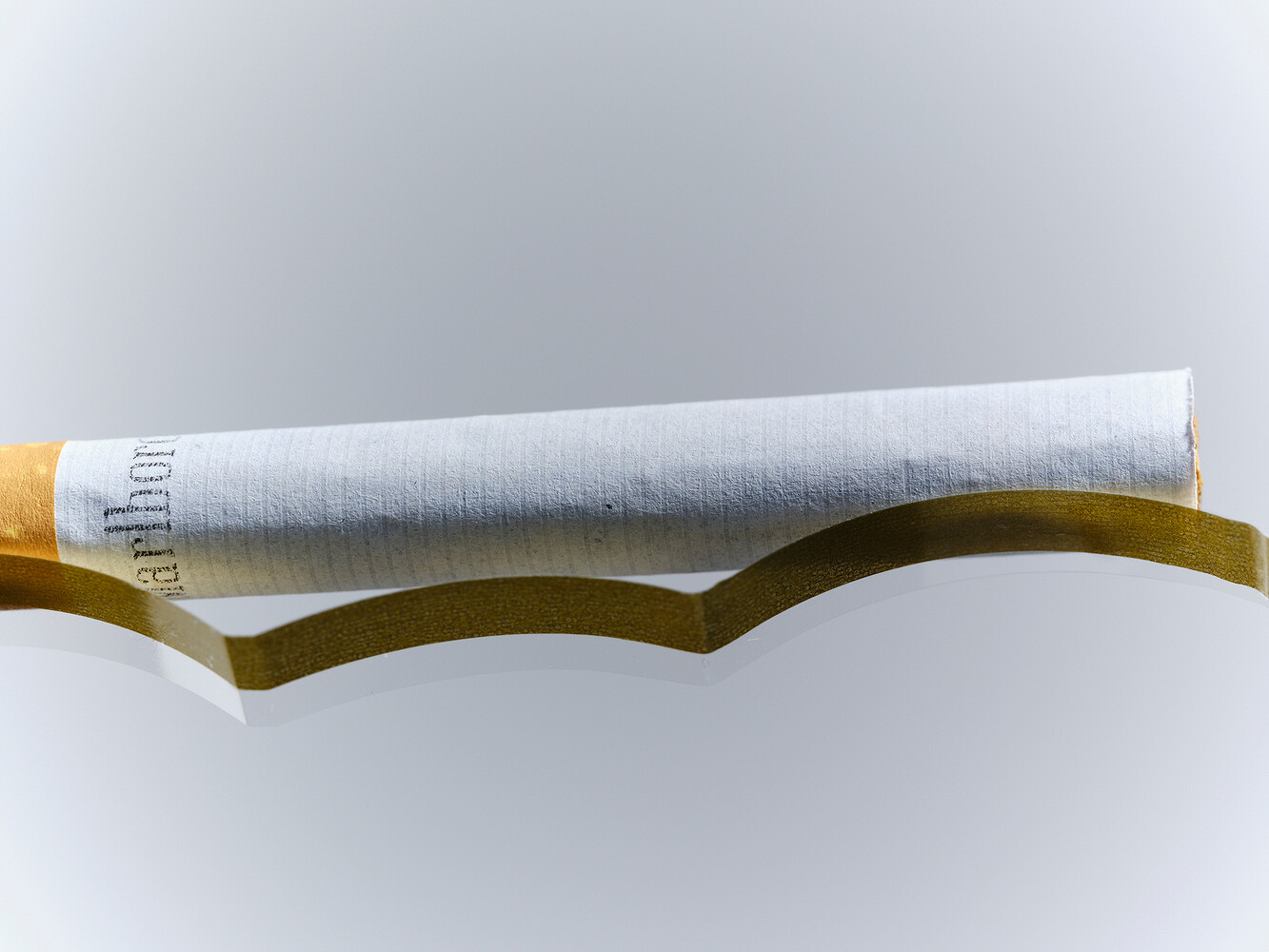 Studies & Transformations