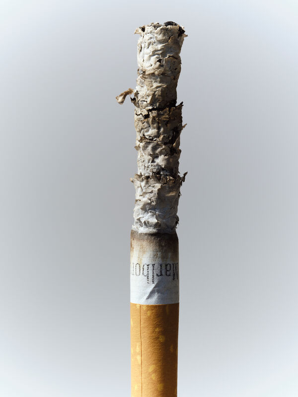 Studies & Transformations