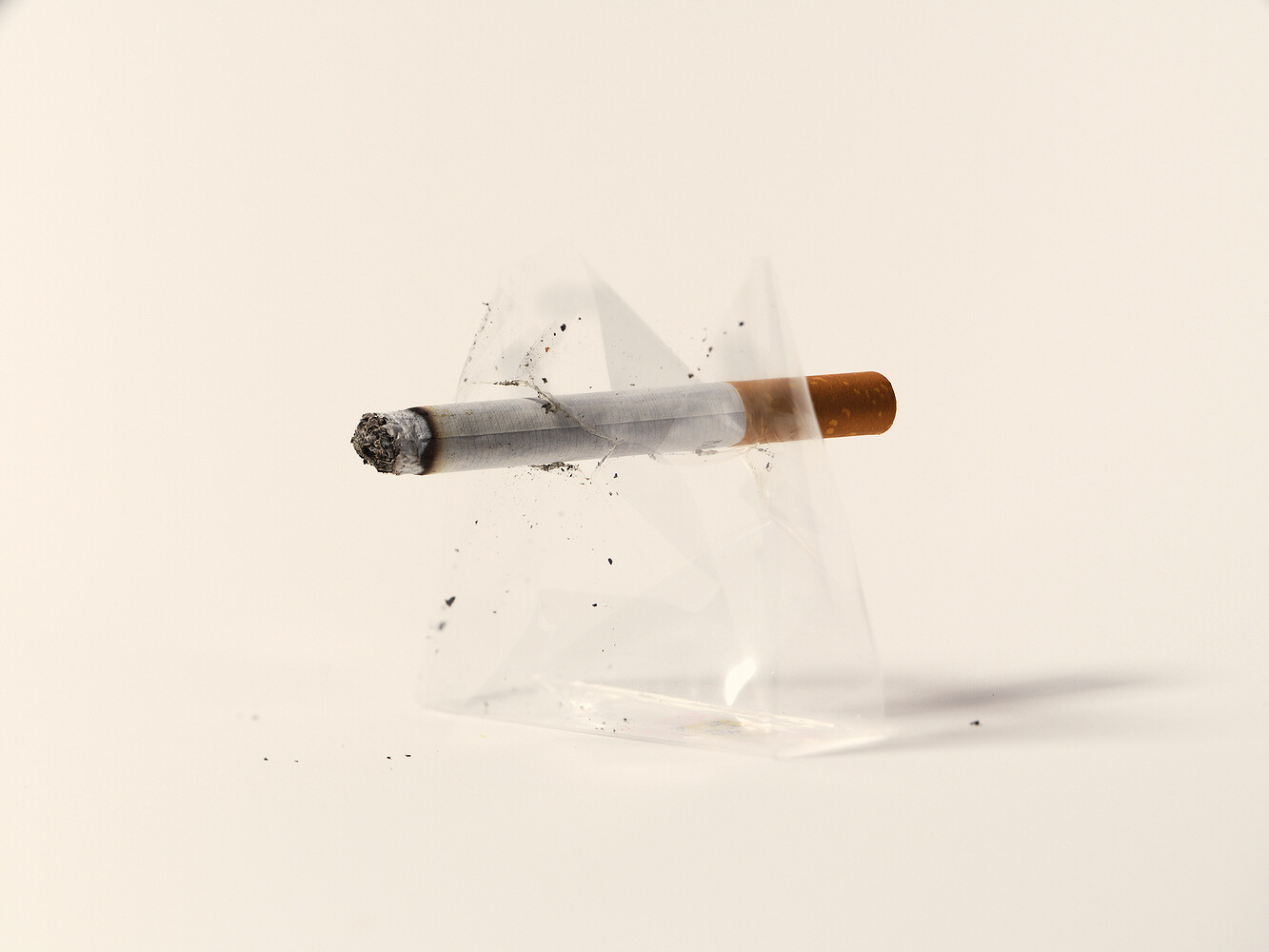 Studies & Transformations