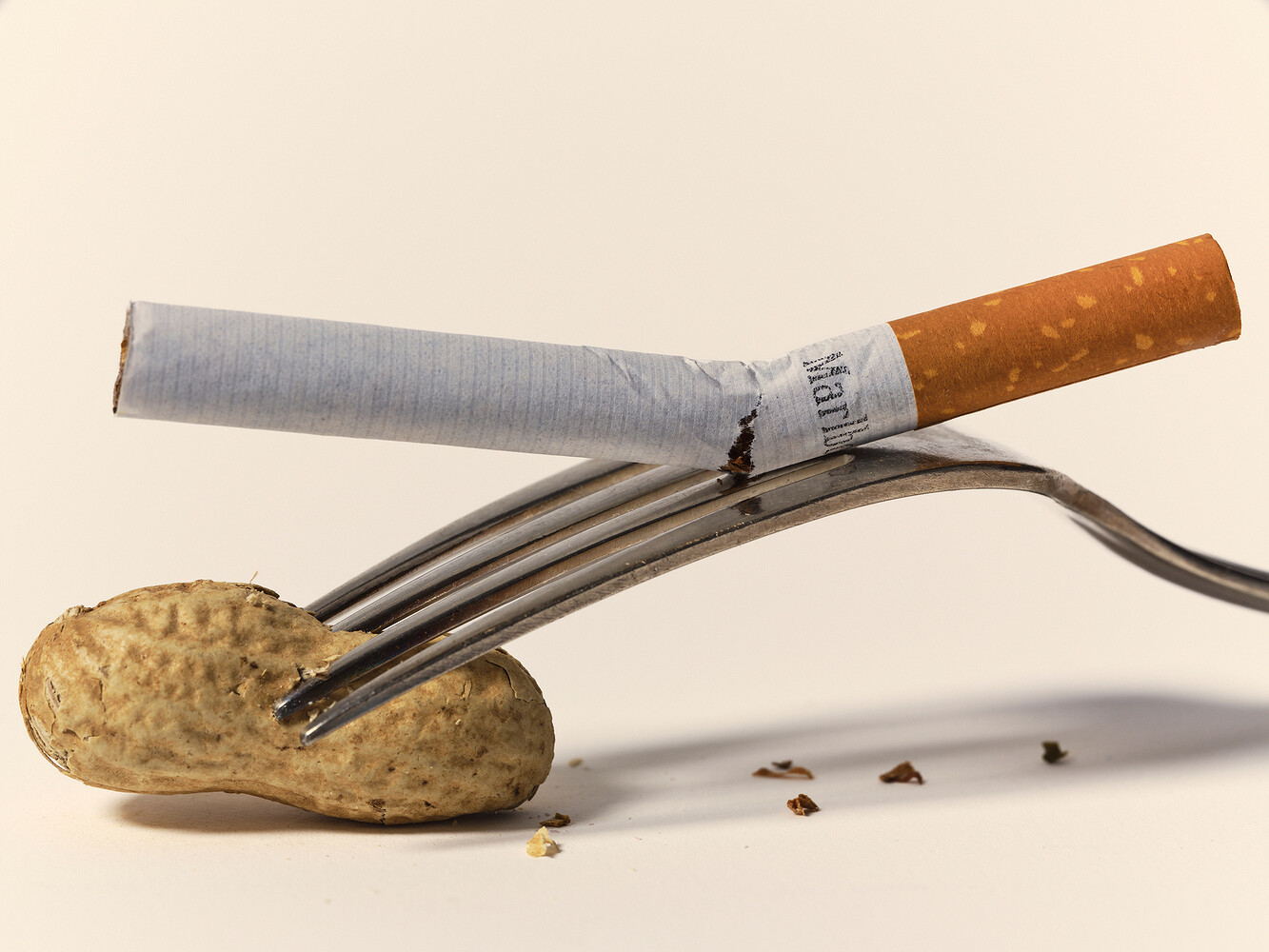 Studies & Transformations